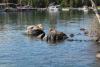 Isle Royale is among the places anglers can fish in the Grand Portage fishing tournament. WTIP file photo by Rhonda Silence